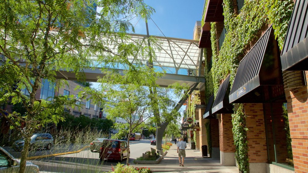 Bellevue Square showing a square or plaza and street scenes