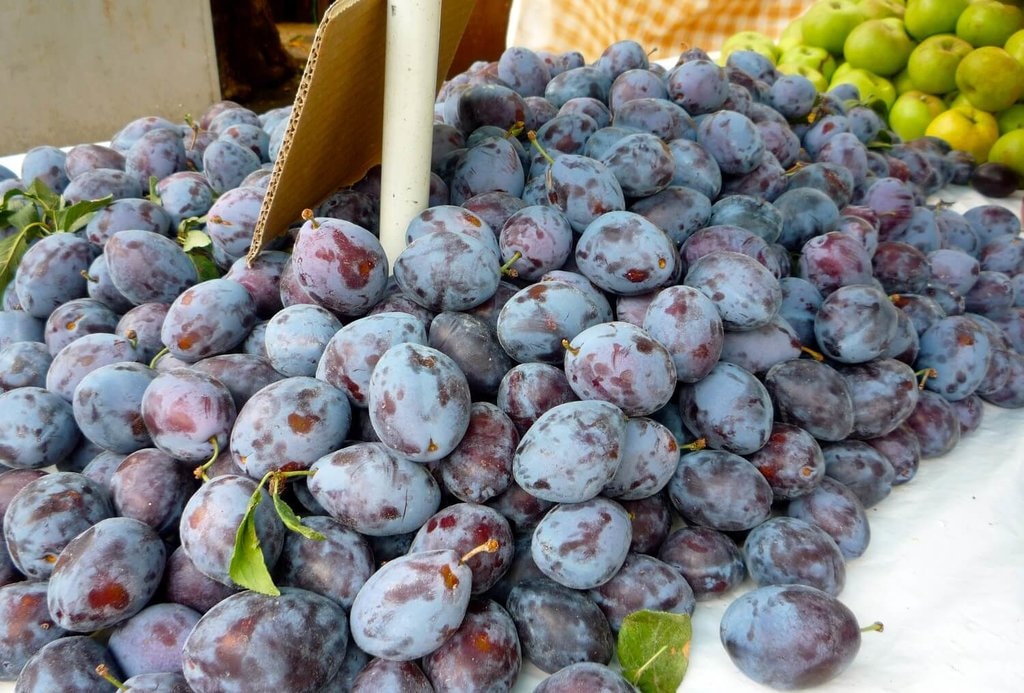 Dubrovnik-Food_VisualHunt (1).jpg