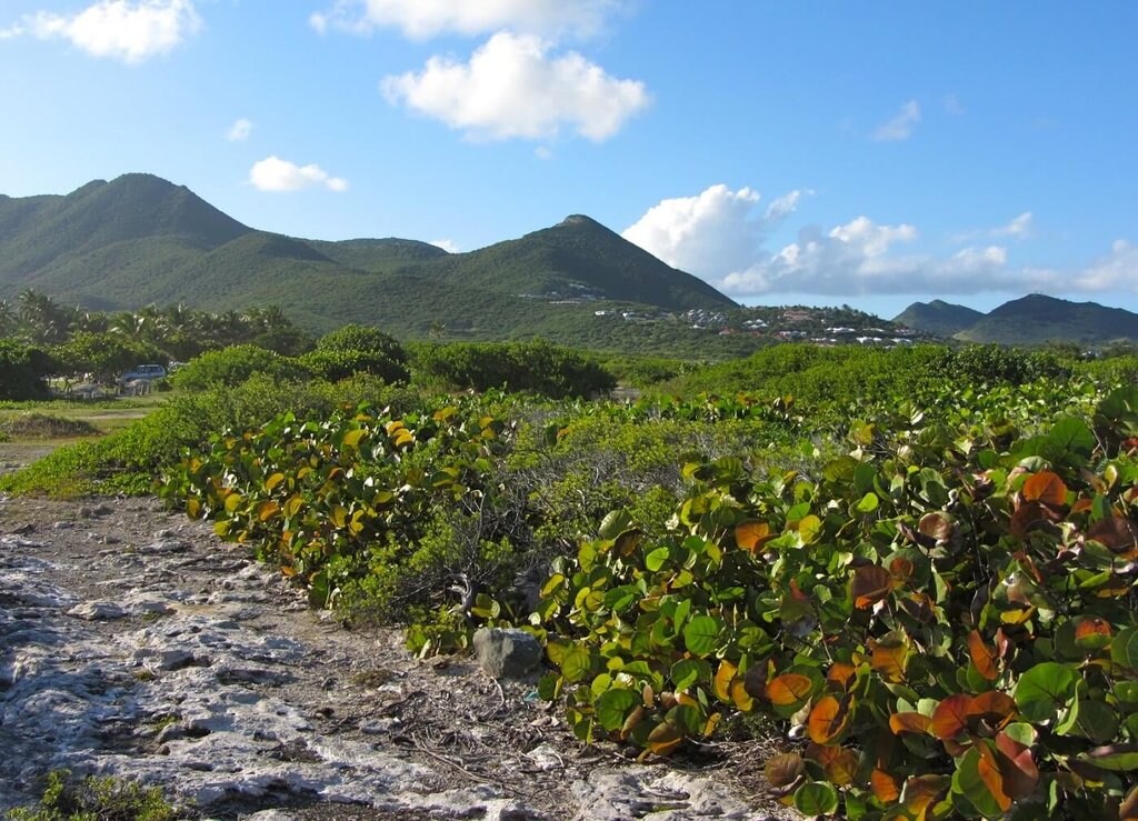 St Maarten-Active_VisualHunt.jpg