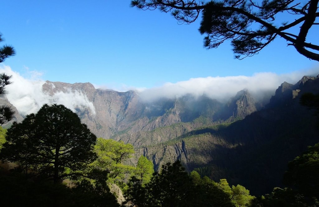 La Palma-Nature-Caroussel_Pixabay.jpg