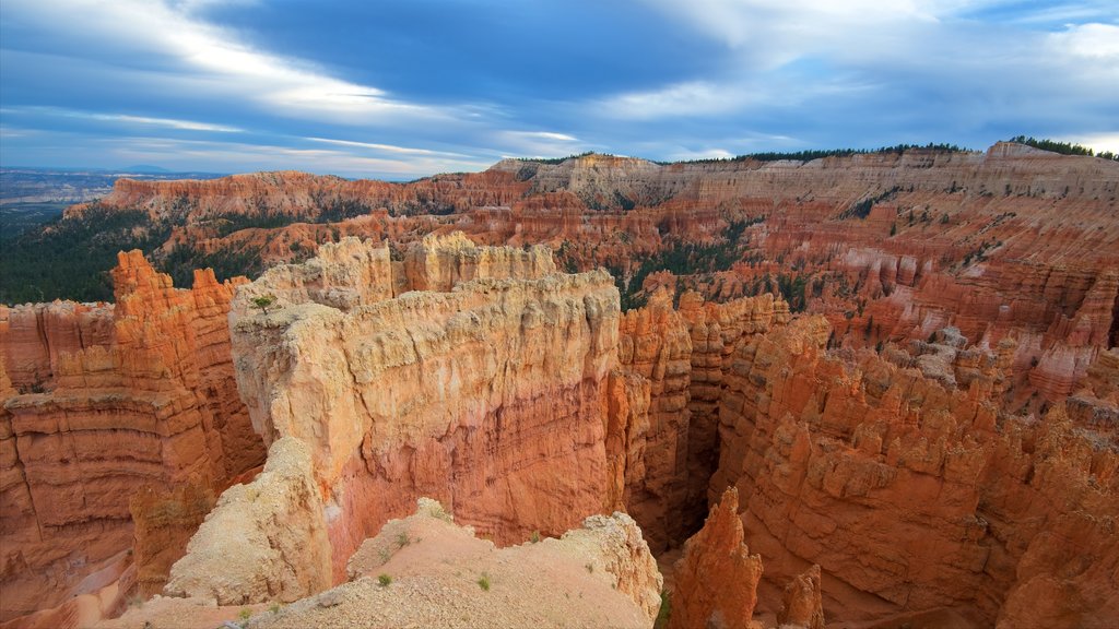 Bryce Canyon National Park mostrando vista panorámica, vista al desierto y escenas tranquilas