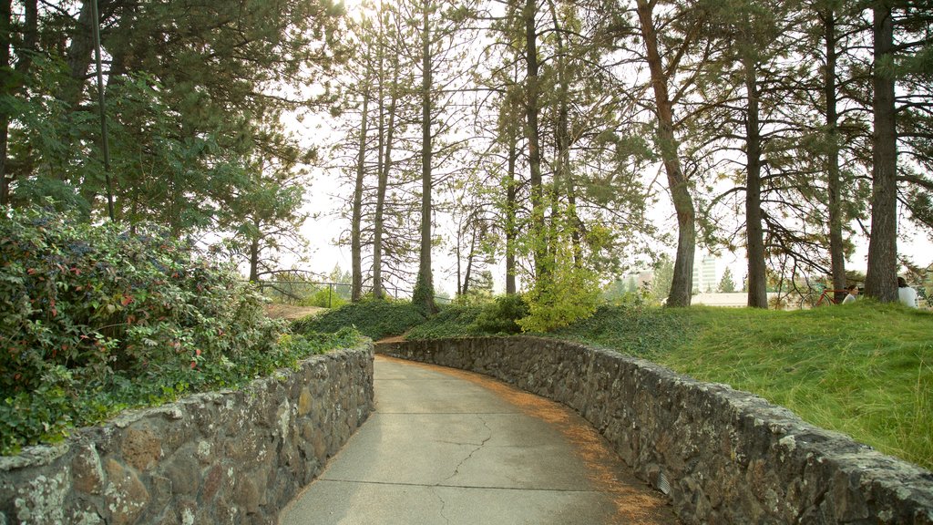 Riverfront Park showing a park