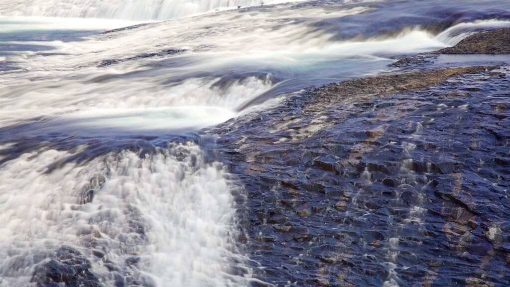 Riverfront Park montrant une rivière ou un ruisseau