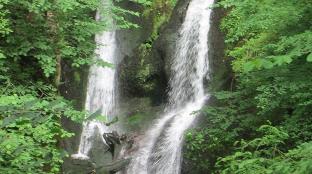 stock_ghyll_force_ambleside.jpg