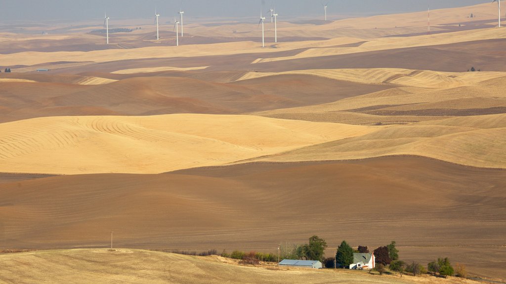 Pullman que incluye escenas tranquilas y tierras de cultivo