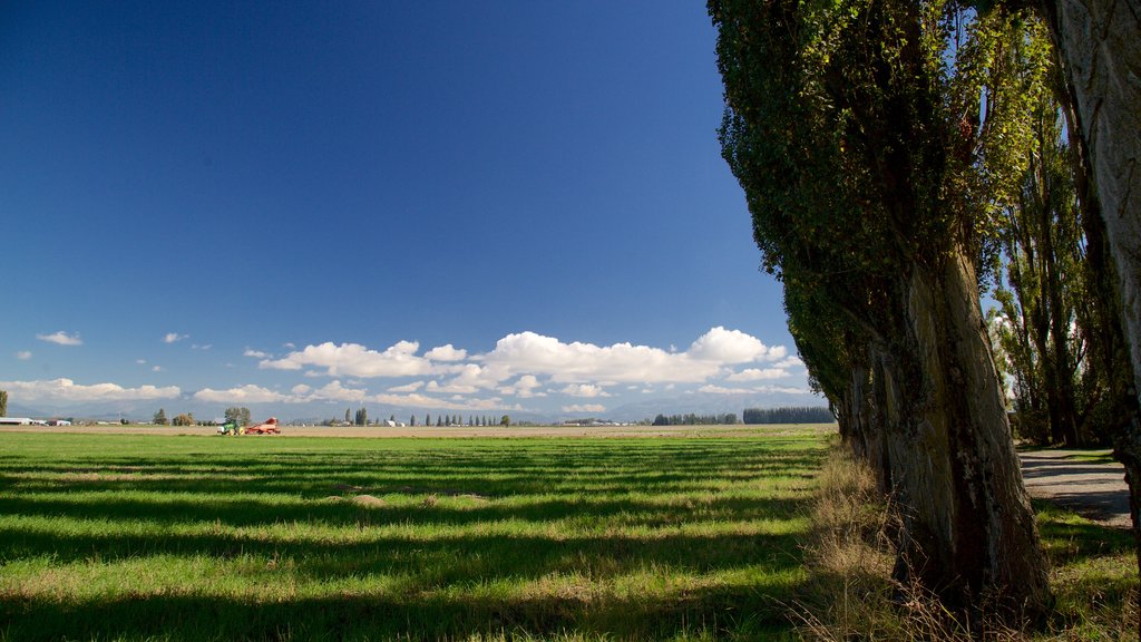 Mount Vernon which includes farmland and tranquil scenes