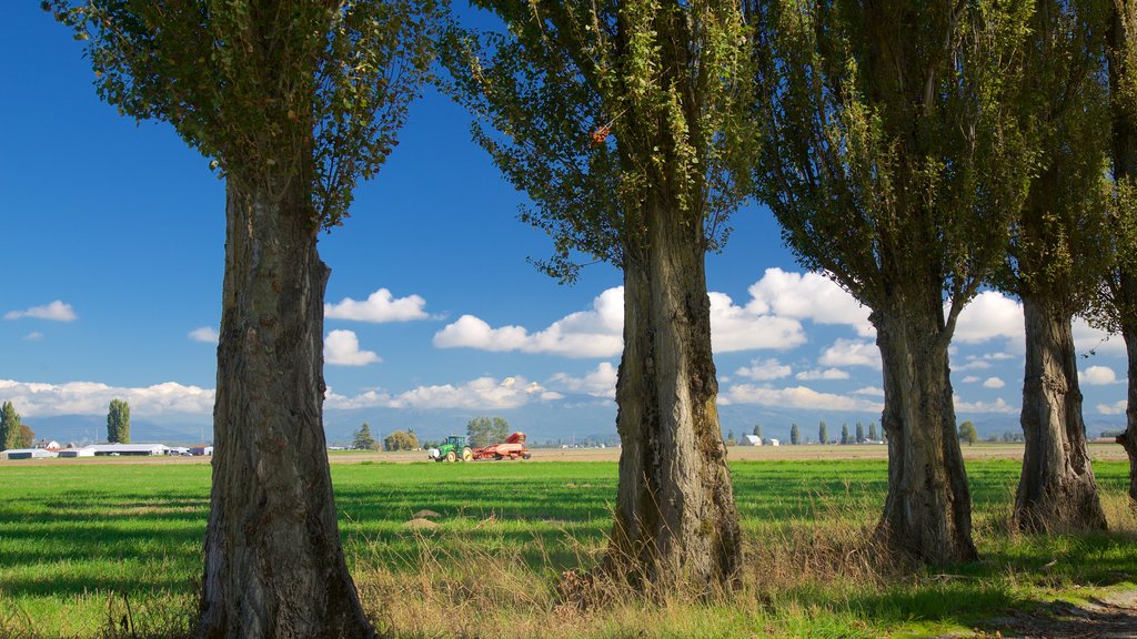 La Conner mettant en vedette terre agricole