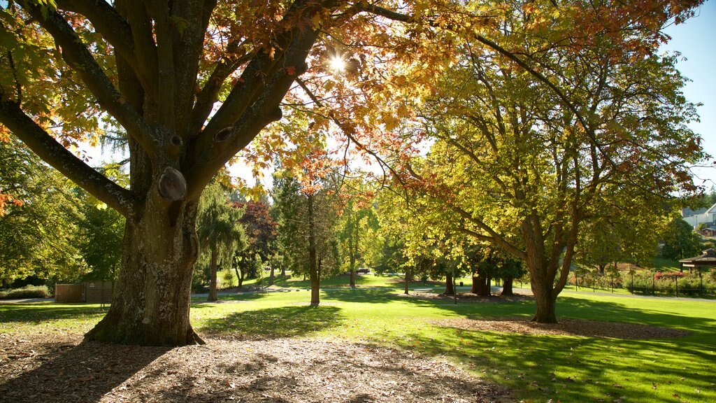 Point Defiance Park showing a garden and autumn leaves