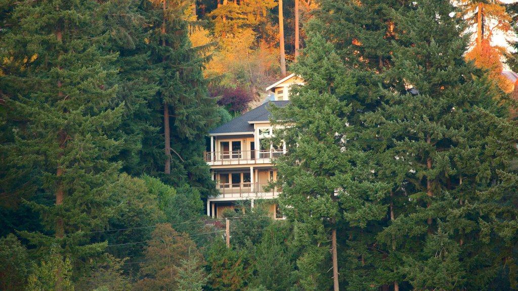 Gig Harbor which includes forests and a house