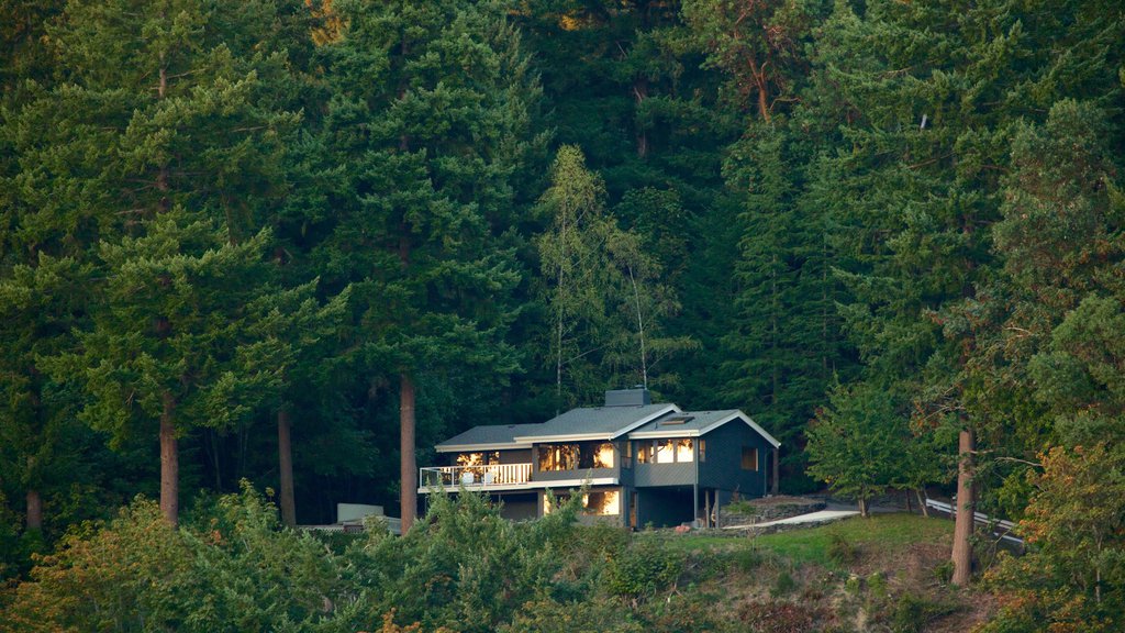 Gig Harbor montrant une maison et paysages en forêt