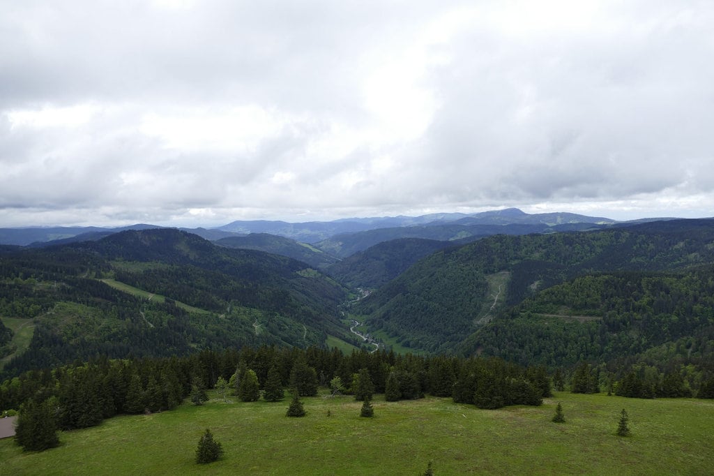 Black Forest_Active_Feldberg_flickr.jpg