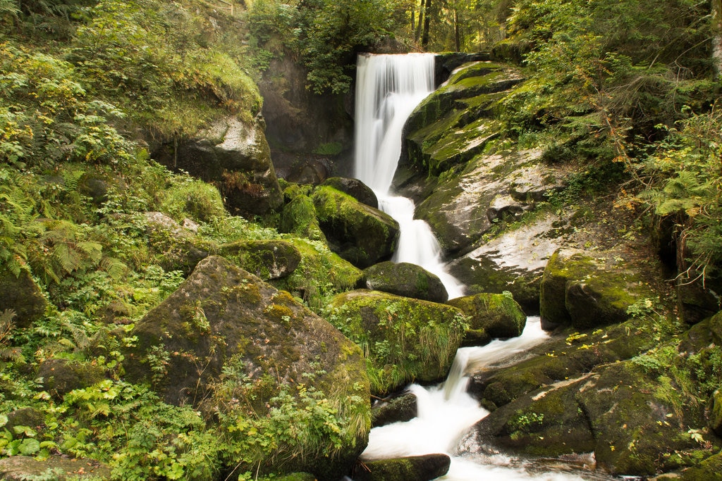 Black Forest_Family_waterfall_Flickr.jpg