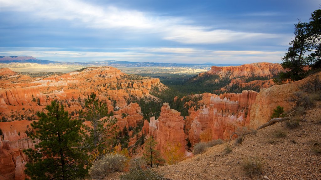 Sunset Point which includes desert views, landscape views and a gorge or canyon