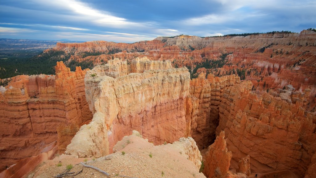 Sunset Point which includes desert views, a gorge or canyon and tranquil scenes