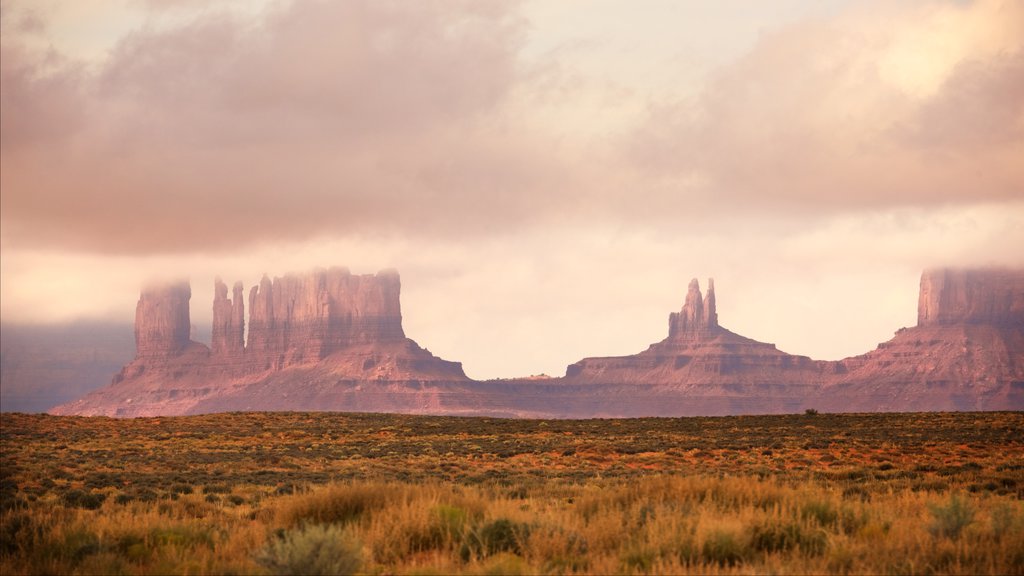 Monument Valley showing desert views, landscape views and a gorge or canyon