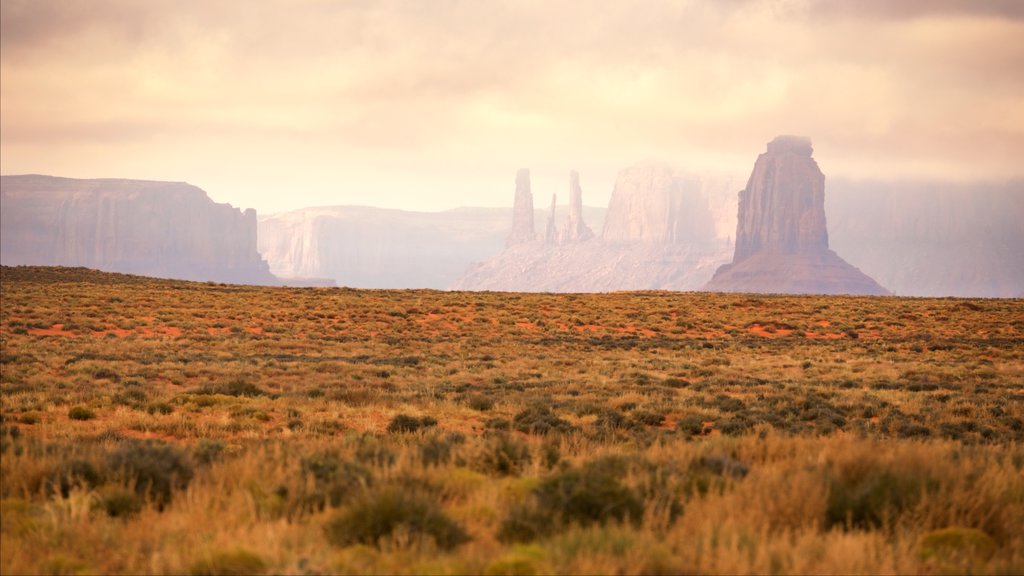 Utah mostrando vista panorámica, un atardecer y escenas tranquilas