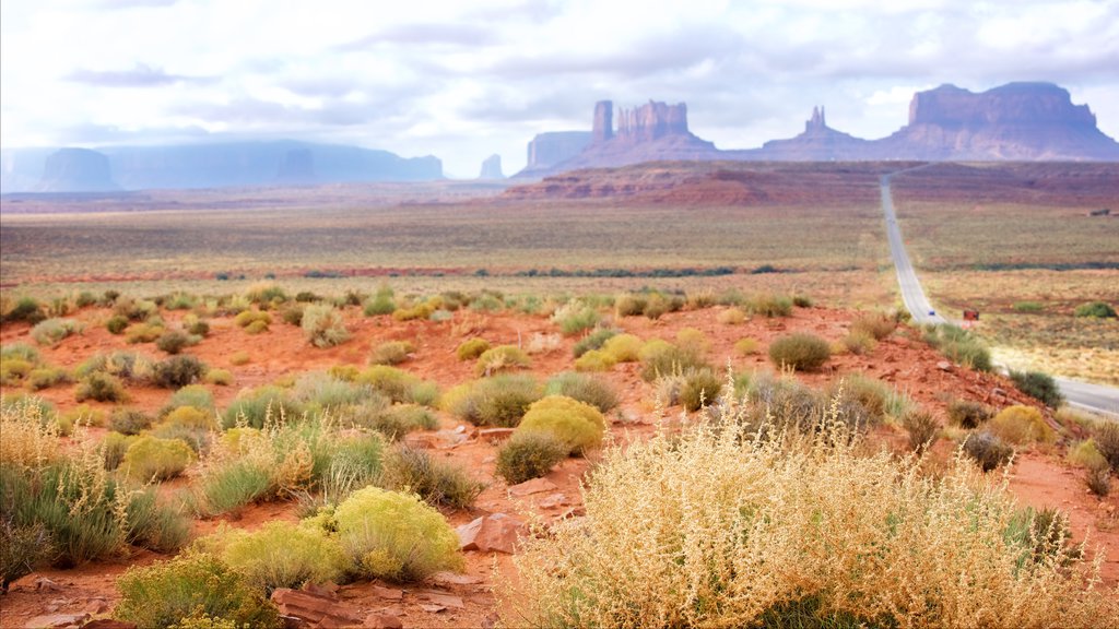 Utah mostrando vista al desierto, un atardecer y una garganta o cañón