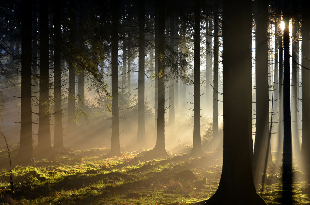 Ardennen_Active_walking_Flickr.jpg