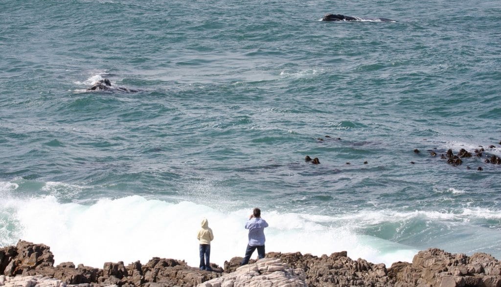 CapeTown_Roadtrip_Hermanus_Flickr(2).jpg