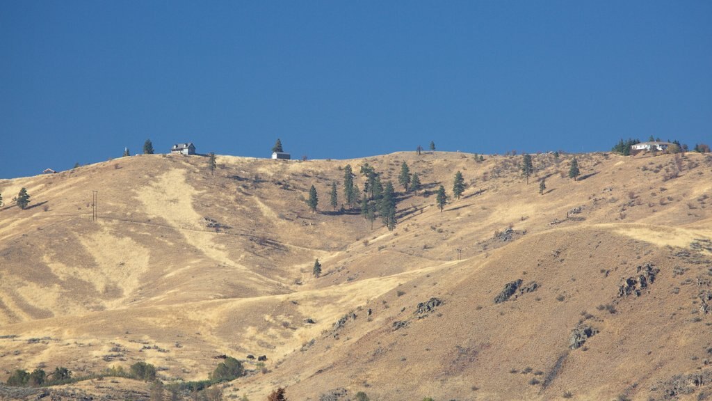 Lake Chelan showing tranquil scenes