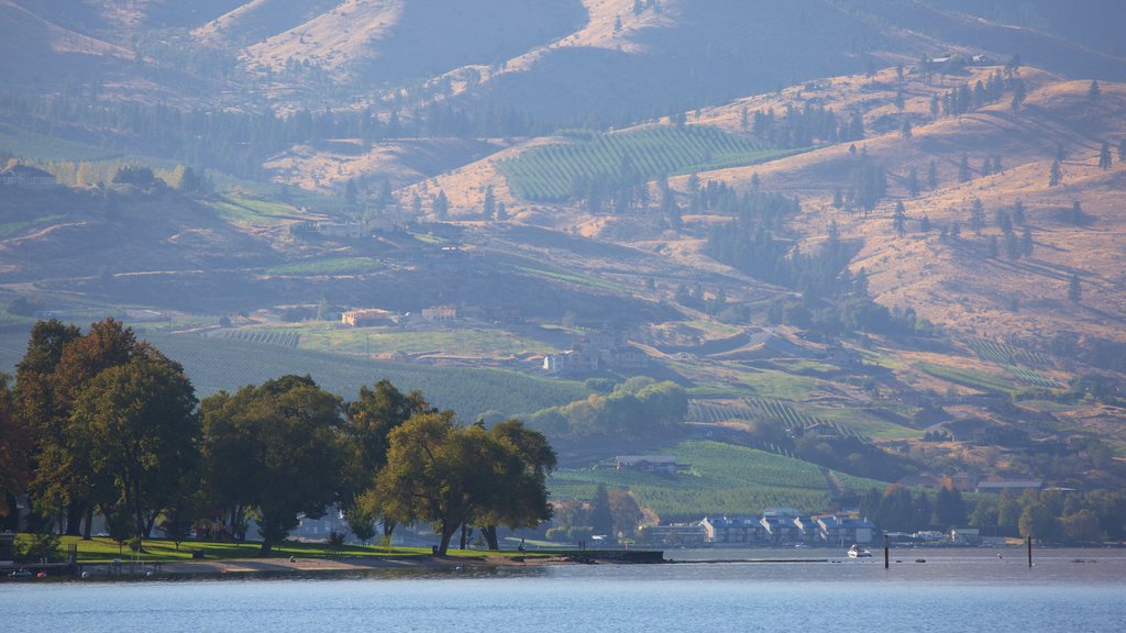 Lake Chelan ofreciendo una pequeña ciudad o pueblo, un lago o abrevadero y tierras de cultivo