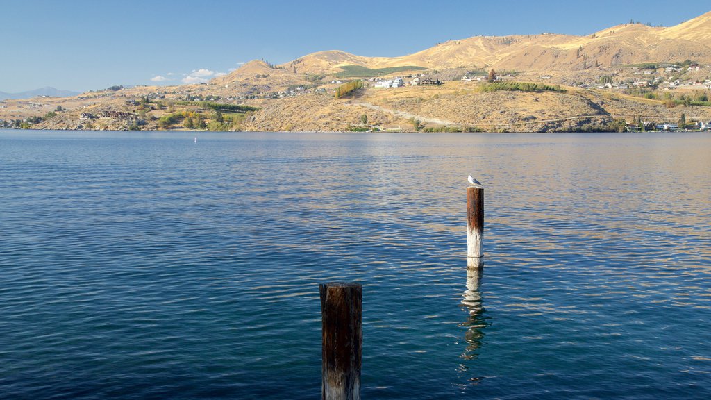 Lac Chelan montrant une petite ville ou un village, un lac ou un point d’eau et paysages paisibles