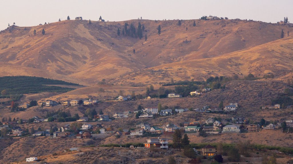 Lake Chelan que inclui cenas tranquilas, um pôr do sol e uma cidade pequena ou vila