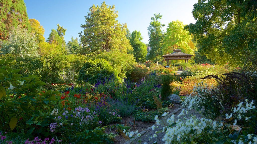 Point Defiance Park showing a garden