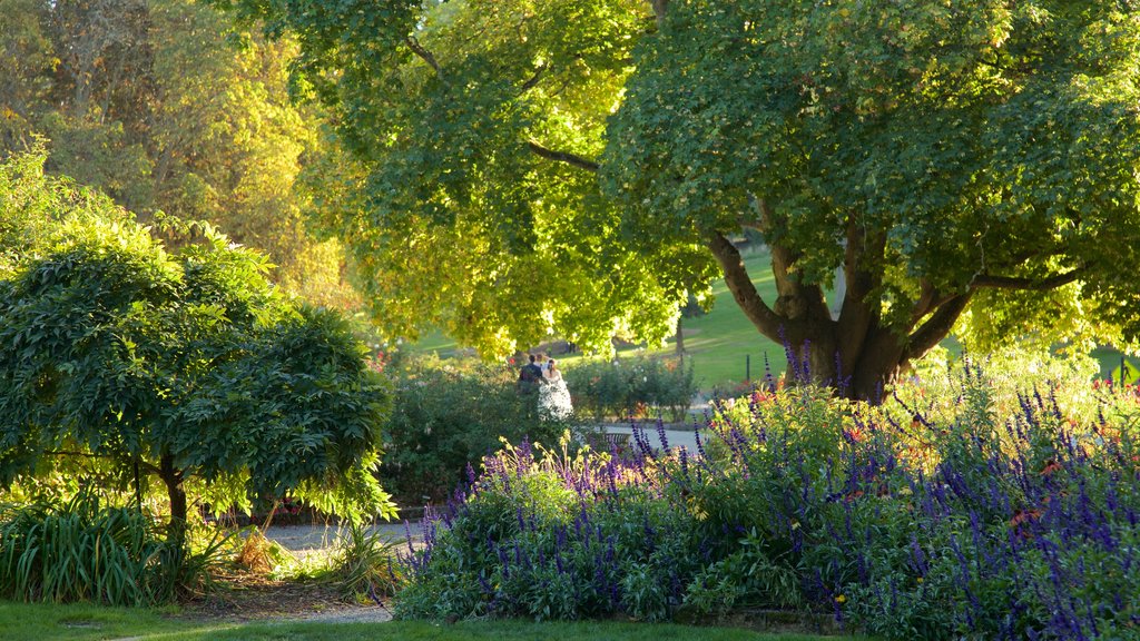 Point Defiance Park showing a garden