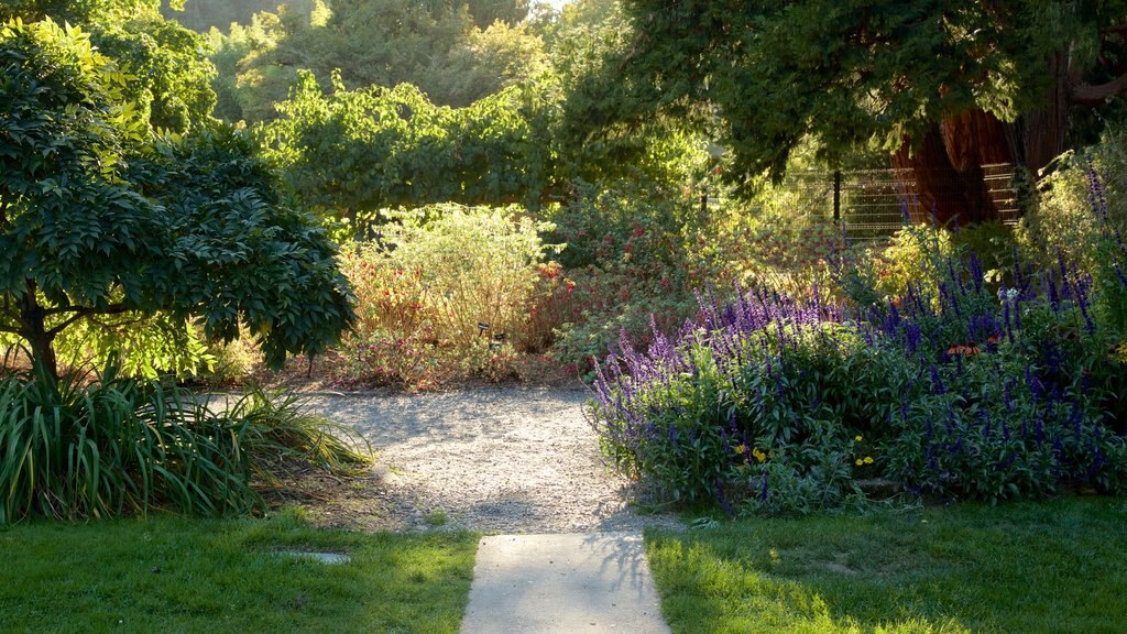 Point Defiance Park which includes a park