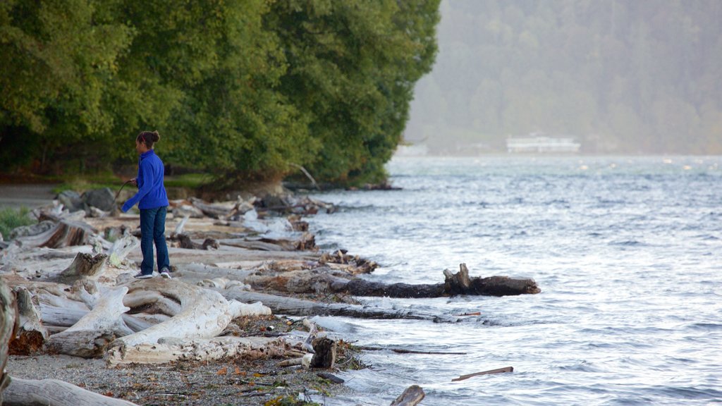 Point Defiance Park som visar en hamn eller havsbukt, kustutsikter och en stenstrand