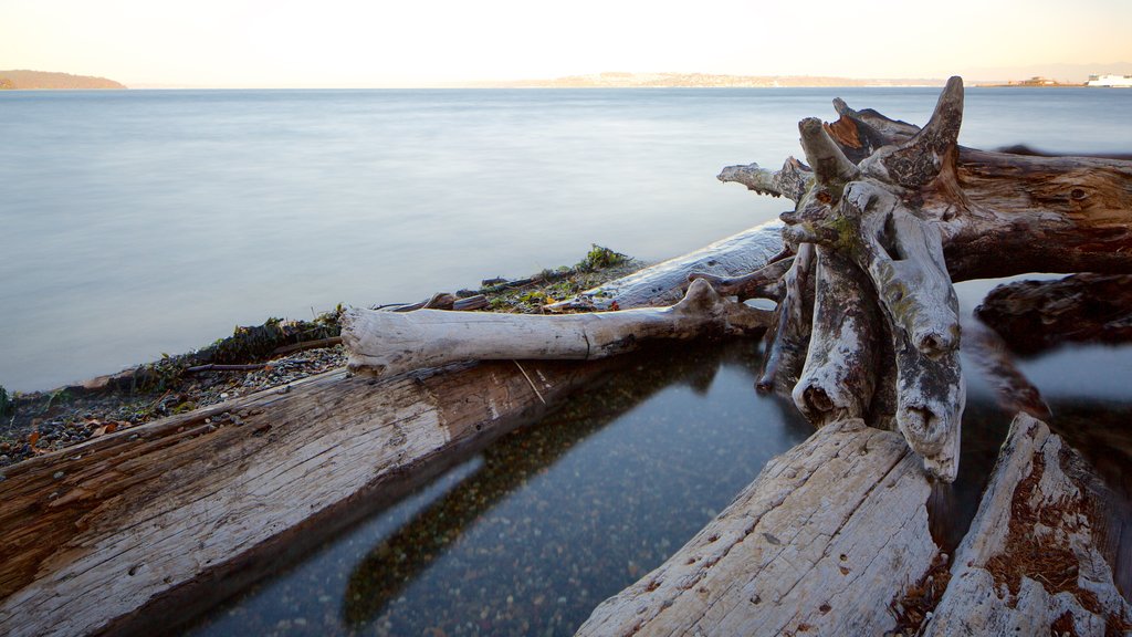 Point Defiance Park showing general coastal views and a bay or harbour