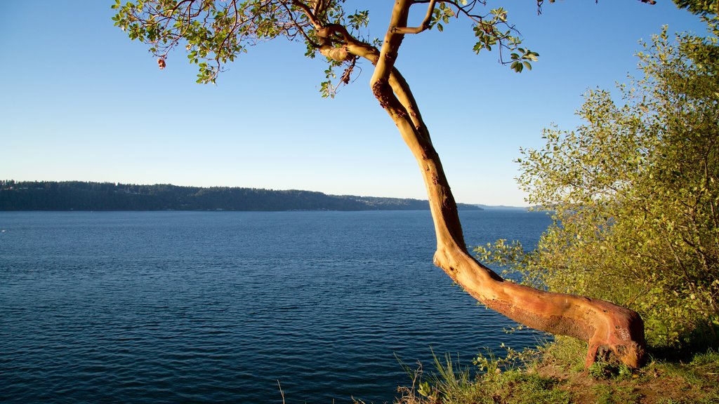 Point Defiance Park que incluye vistas generales de la costa y una bahía o puerto