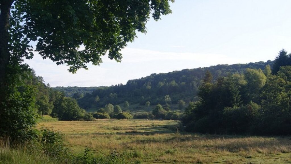 Burgundy_nature_Cote d'or_Flickr.jpg