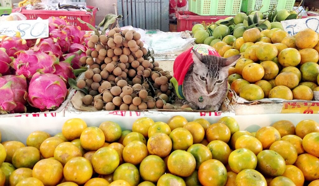 Bangkok_Shoppen_FoodMarket_Flickr.jpg