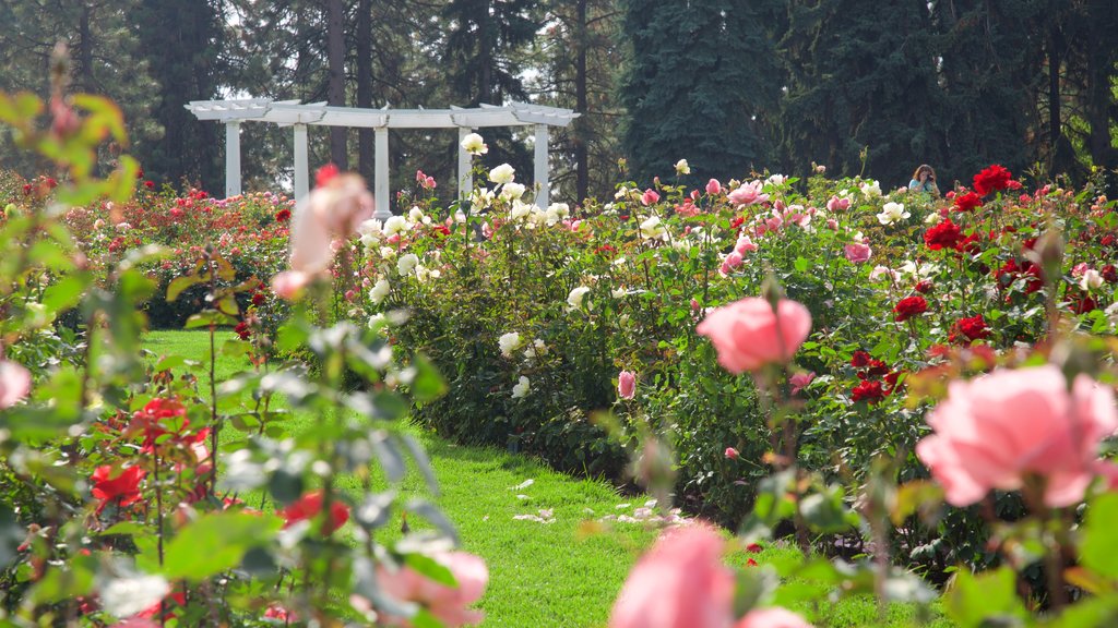 Manito Park mostrando flores e um jardim