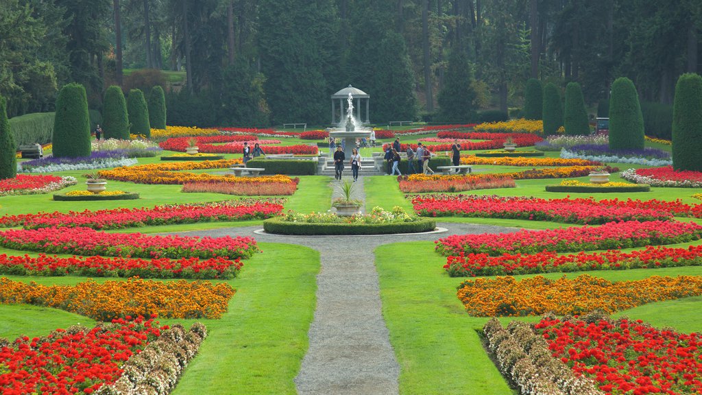 Manito Park mostrando um jardim e uma fonte