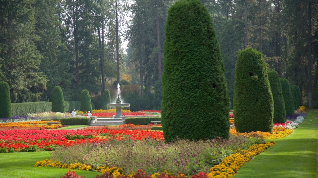 Manito Park showing a fountain and a garden