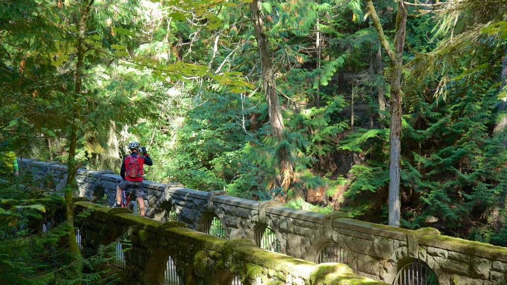 Whatcom Falls Park mostrando un puente, bosques y ciclismo de montaña