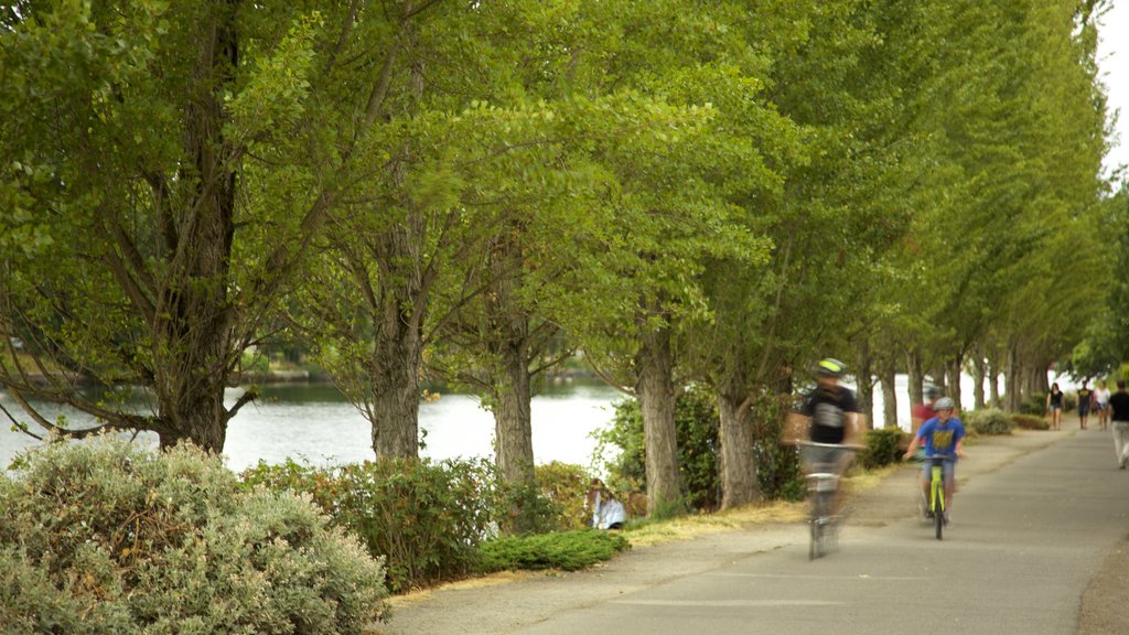 Fremont Bridge showing cycling, a river or creek and a garden