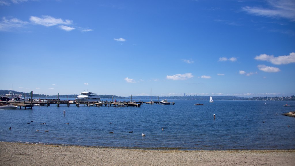 Puerto deportivo mostrando una playa de piedras y una bahía o un puerto