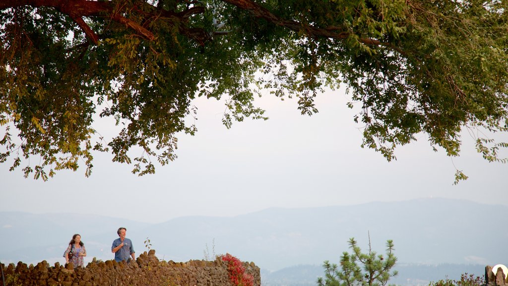 Bodegas Arbor Crest y también una pareja