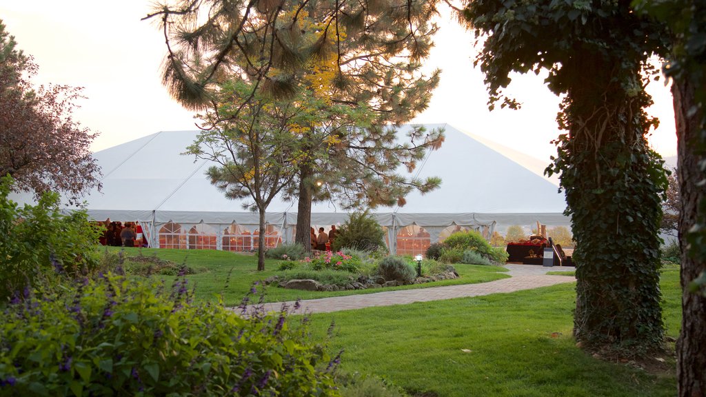 Bodegas Arbor Crest ofreciendo un parque