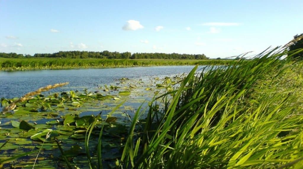 zuid-holland_natuur_groenehart.jpg