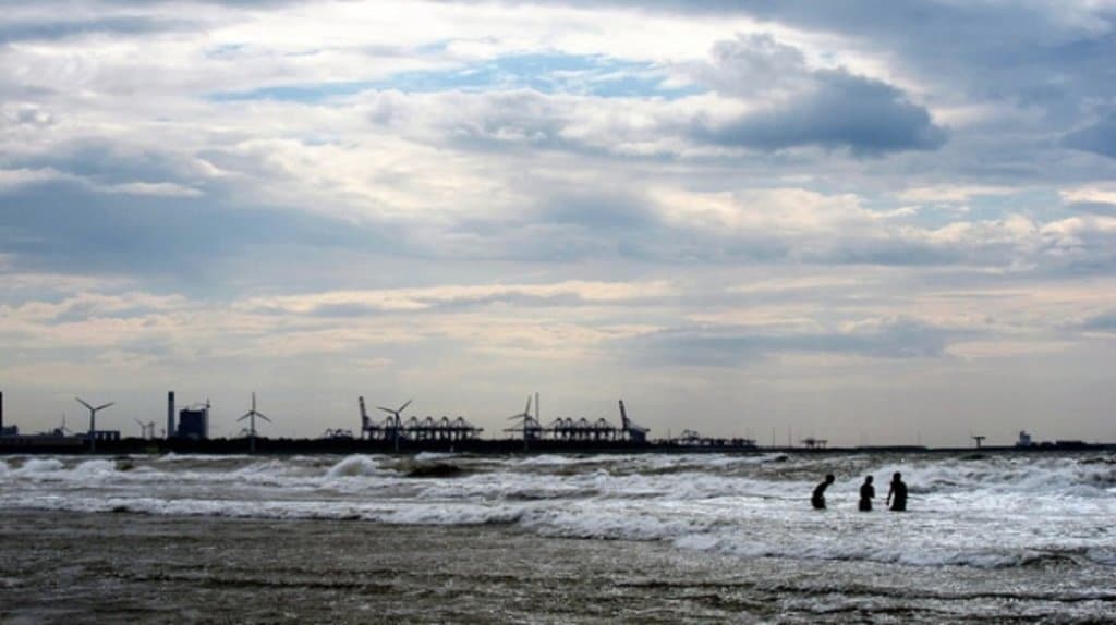 zuid-holland_natuur_maasvlakte.jpg