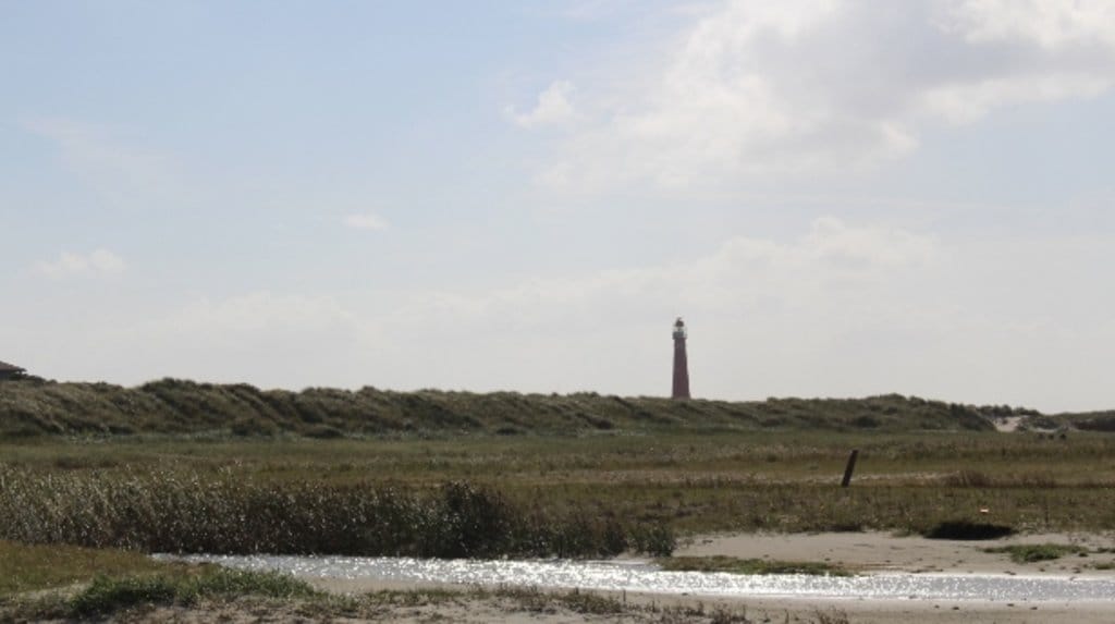 wadden_islands_-_schiermonnikoog_gonnie_12.jpg