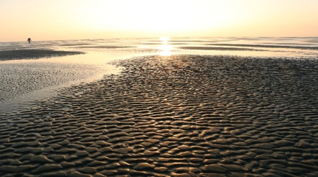 wadden_budget_stranden_@DaisyScholte.jpg