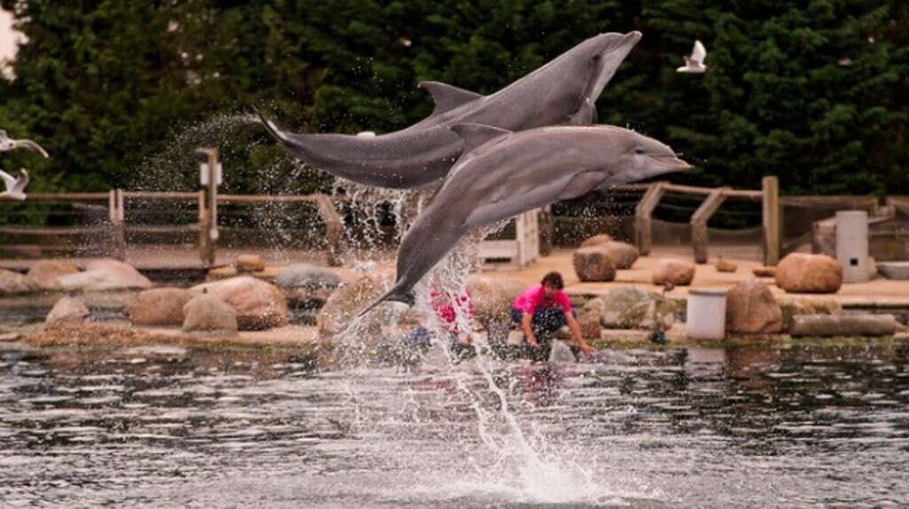 veluwe_familie_dolfinarium.jpg