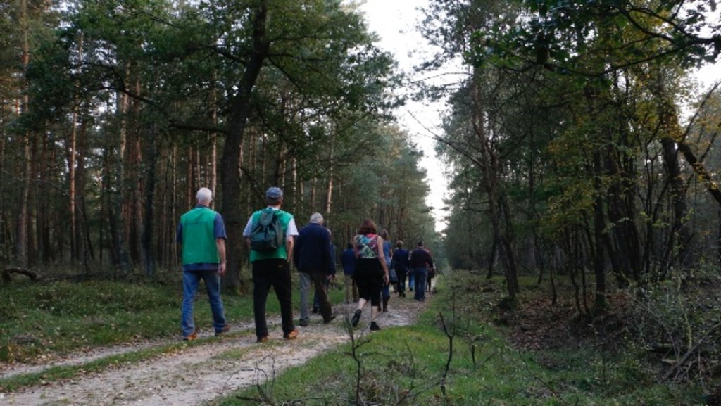 veluwe_actief_wandelen.jpg