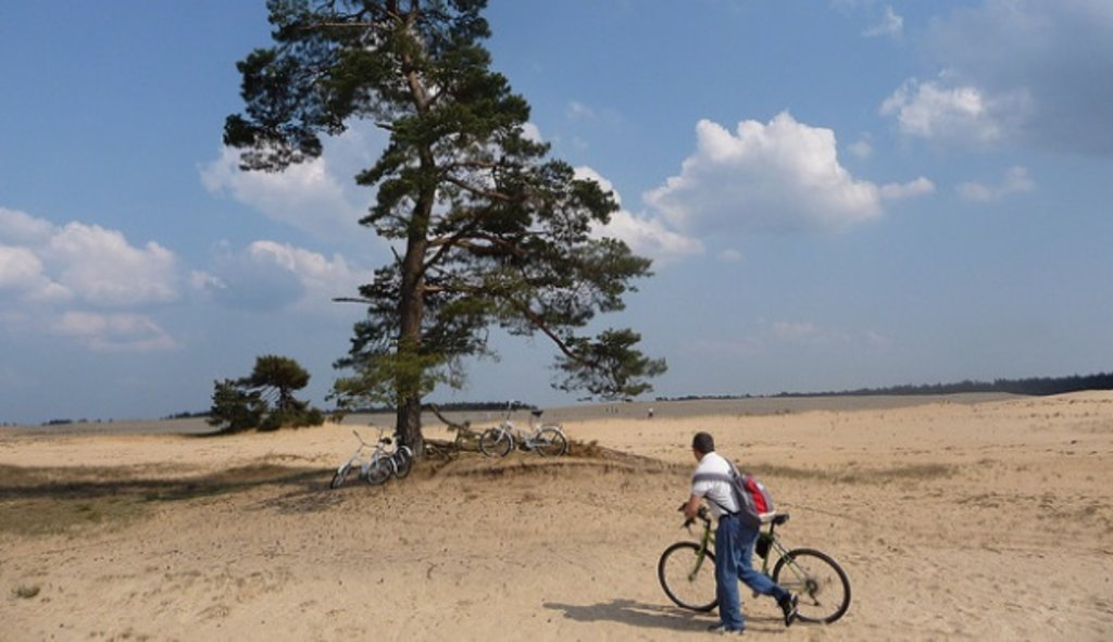 veluwe_actief_fietsen.jpg